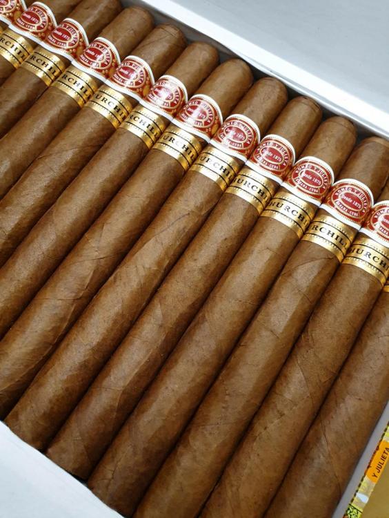 Romeo y Julieta Churchills PSP  FEB 20.jpg