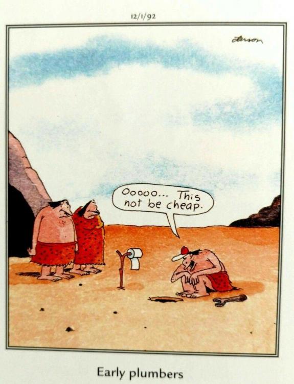 Far Side Plumber.jpg