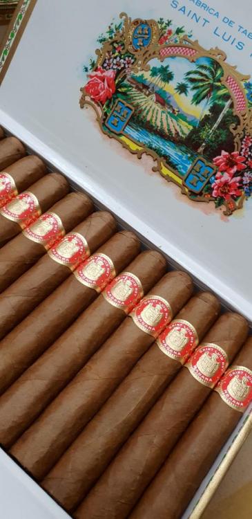 Saint Luis Rey Regio HQ ABR 19.jpg