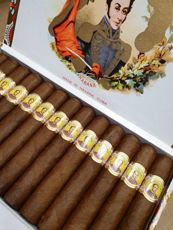 Bolivar Royal Corona PSP NOV 19.jpg