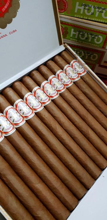 Hoyo De Monterrey Double Corona FEB 19.jpg