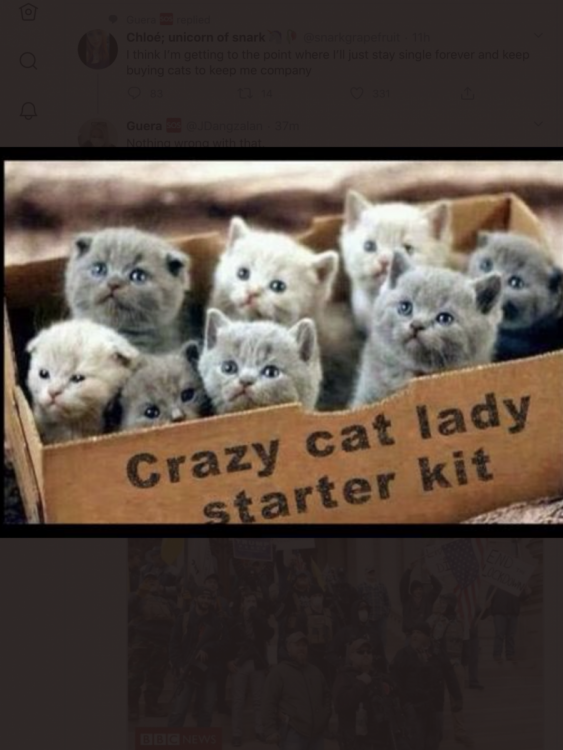 450F6321-3DF8-4519-A710-CE042F3FEAD8.png