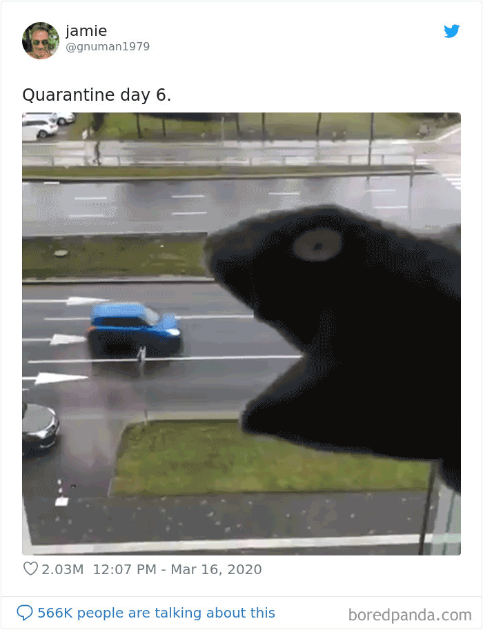 5e747779e33fe-gifke-5e70e520e4d43__700.thumb.gif.8a6d3188b425d37174d20500f6a1ba24.gif