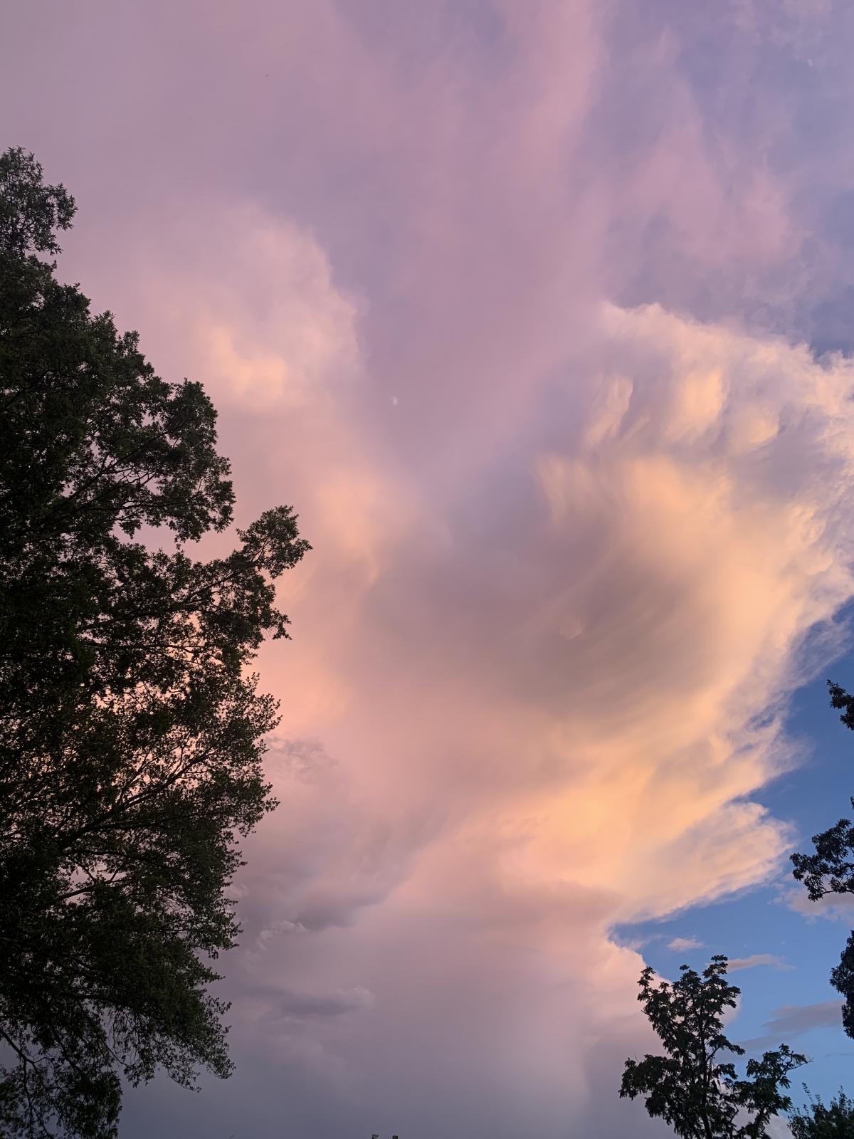 0A7762E2-190B-4030-A51B-D5B2321B2BDE.jpeg.3d652542d3796a07b4c6aac5e8aa9e76.jpeg