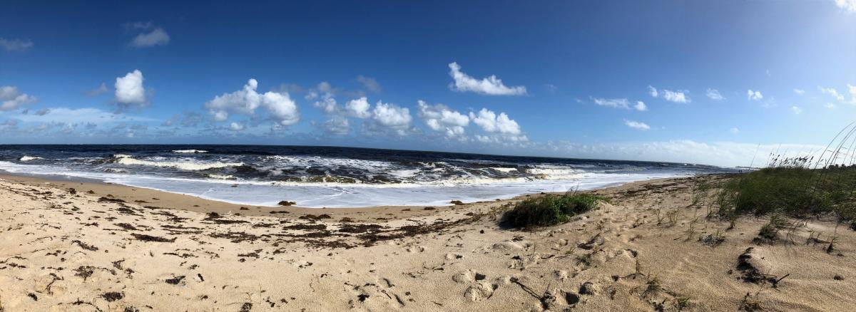 beach.jpg.98ab51acb0493f43b82f3ec0d8cedf34.jpg