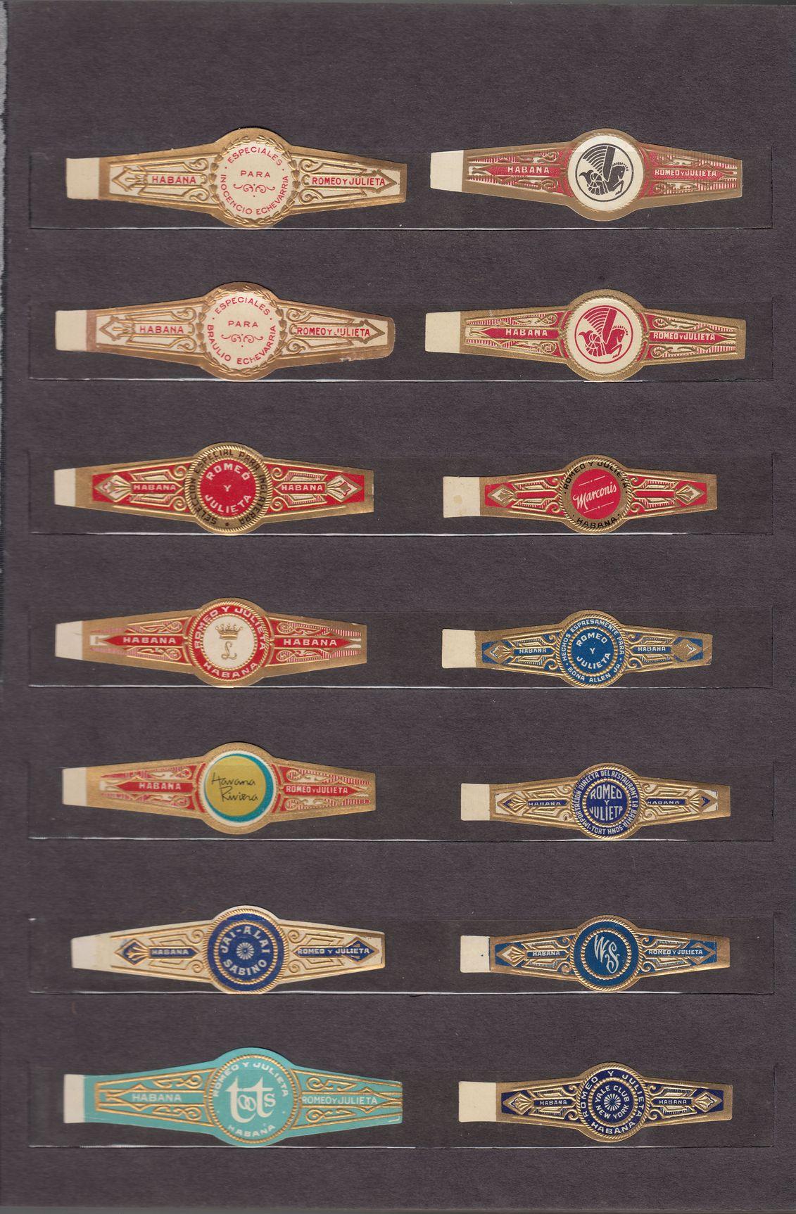 PreEmbargoBookBandsLo-Res05.jpg.19656a146f3c4490c220ea3d8e920ff2.jpg
