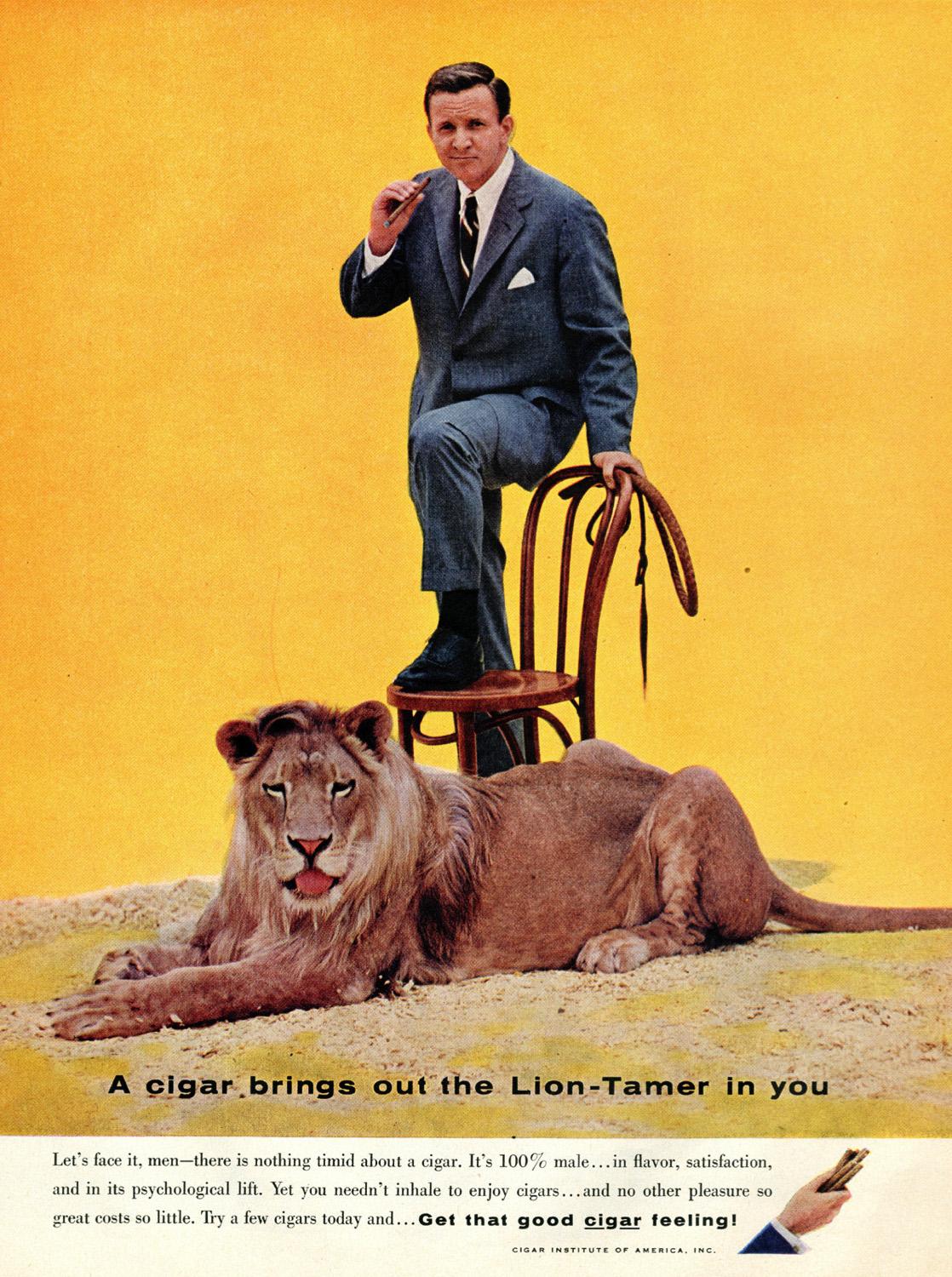 Lion.jpg