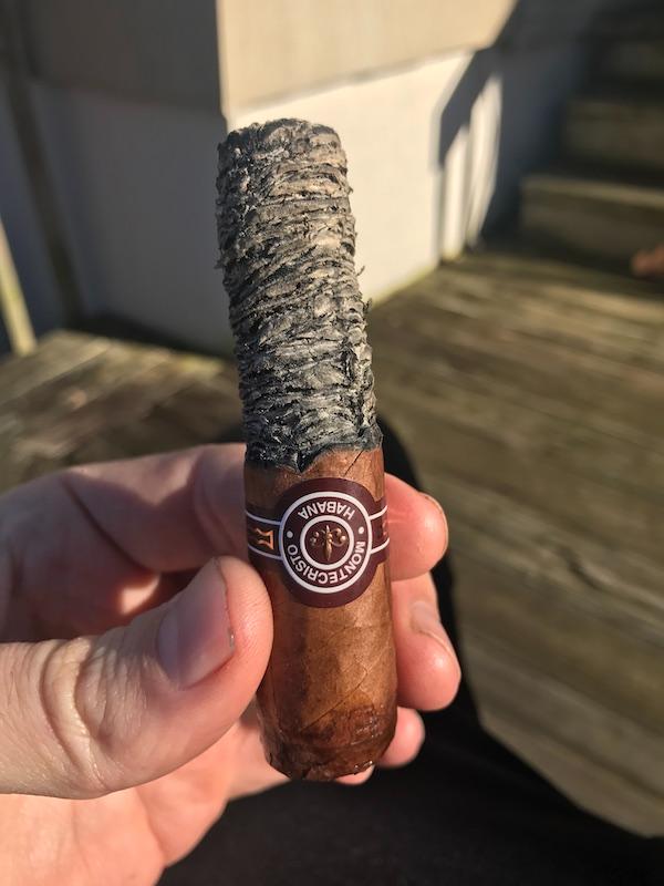 Long Cigar Ash.jpeg