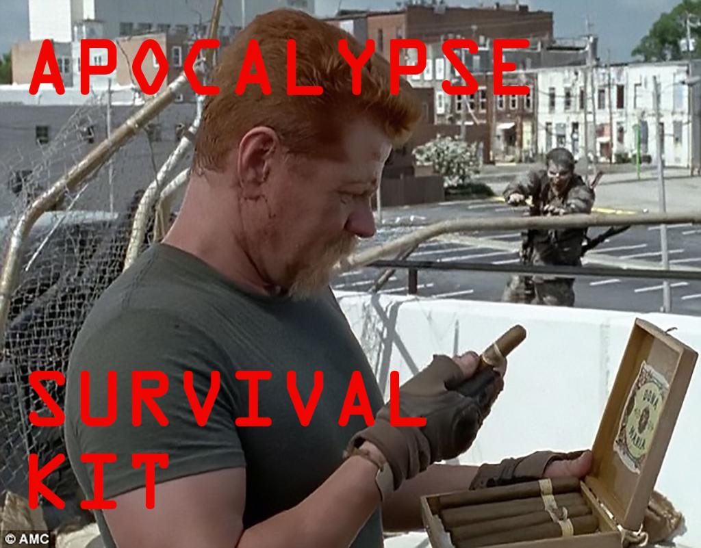 315518443_walkingdeadapocalypsesurvivalkit.jpg.fa33de369e62cd86be5ddb057042907e.jpg