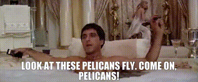 61BC4CD9-C465-48A6-9C0B-4D98066AAE98.gif