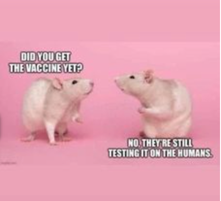 Vaccine.png