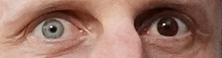 Screen Shot 2022-02-04 at 8.40.02 am.png