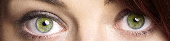 Screen Shot 2022-02-04 at 8.39.29 am.png