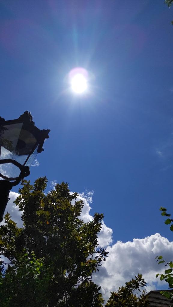 IMG-20220703-WA0006.jpeg.f2ae2f2ca478fda57837c88843531e59.jpeg