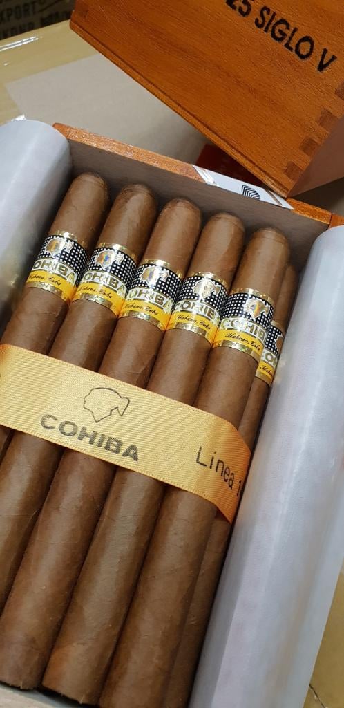 Cohiba Siglo V.jpg