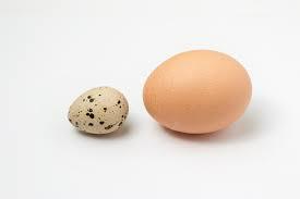image.jpeg
