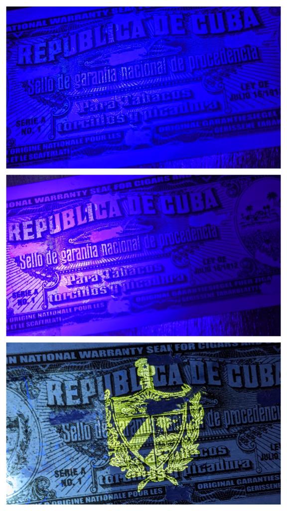 20221012_204723-COLLAGE.jpg.029bce047893010eb6447ec12a21e047.jpg