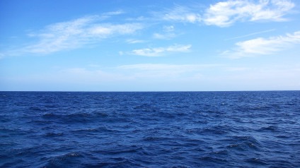 5D6E9799-7DE7-42F4-9BC5-AAF005E63448.jpeg.d644d197e3e272775768ca6a3872e2ed.jpeg