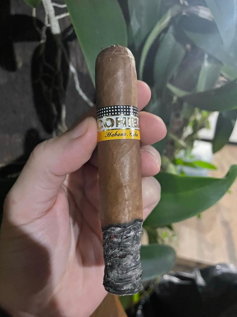 Cohiba-2007.jpeg.f40bf70f4953e97bfcd31f7f29444b2e.jpeg
