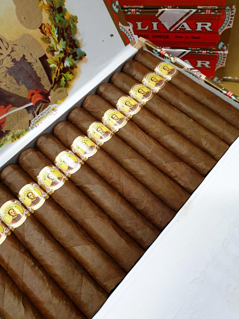 Bolivar Corona Junior PSP NOV 19.jpg