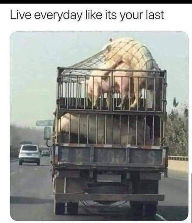 HDH.jpg