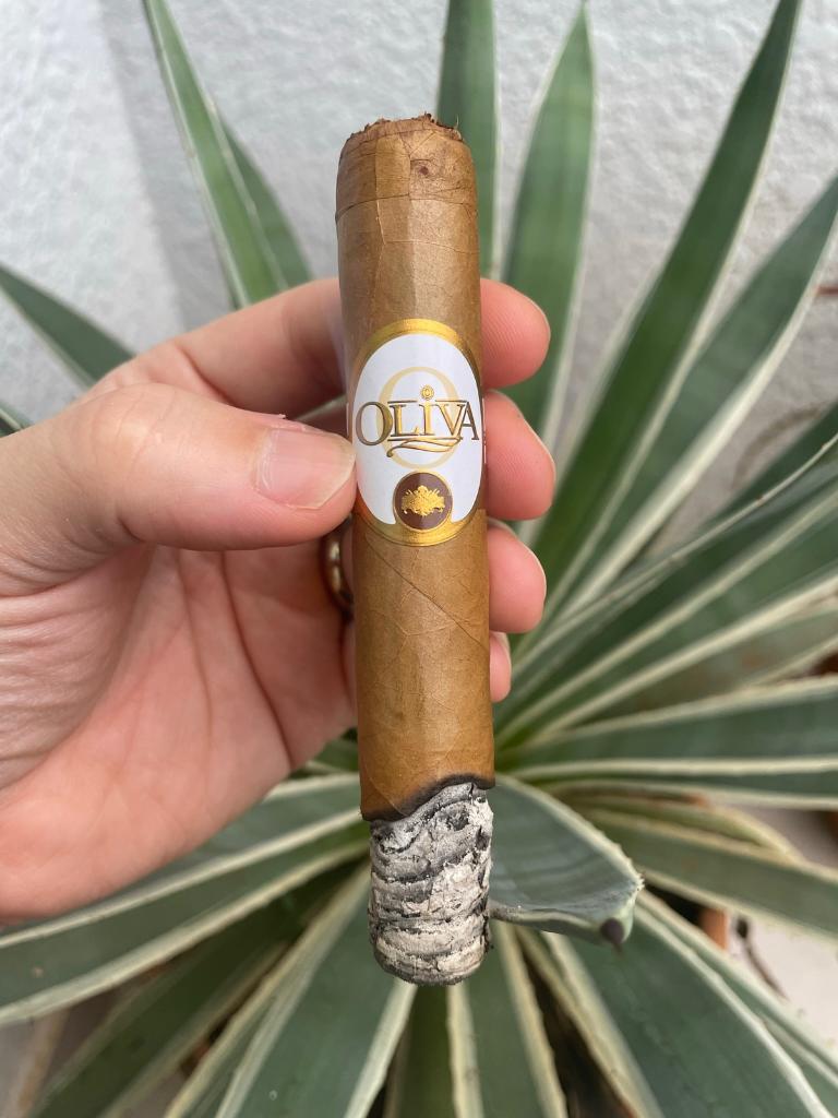 Oliva-02.jpeg.ec43baa44eee9a624e4cb87a21eed7a0.jpeg
