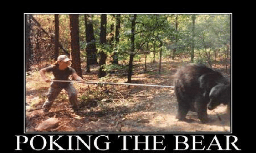 poking_bear.png.f4ef7e488d92f562a737fb0182b0472e.png