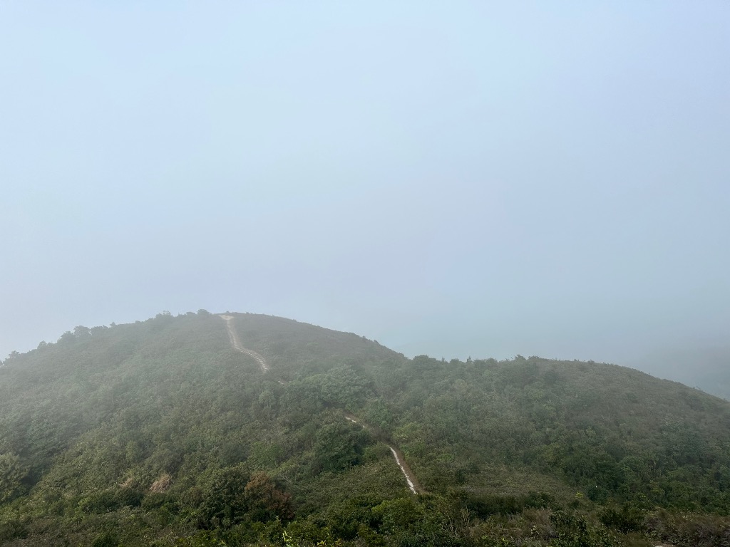 A227C820-9296-45A6-986F-AF0BF416970F.jpeg.cefeffb8e70cafd0158124b01ffcfecc.jpeg