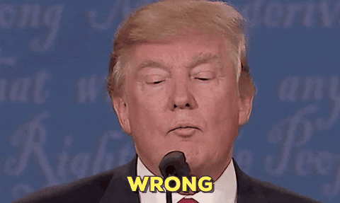 image.gif.b31463254fefd695dadb62fbf329173c.gif