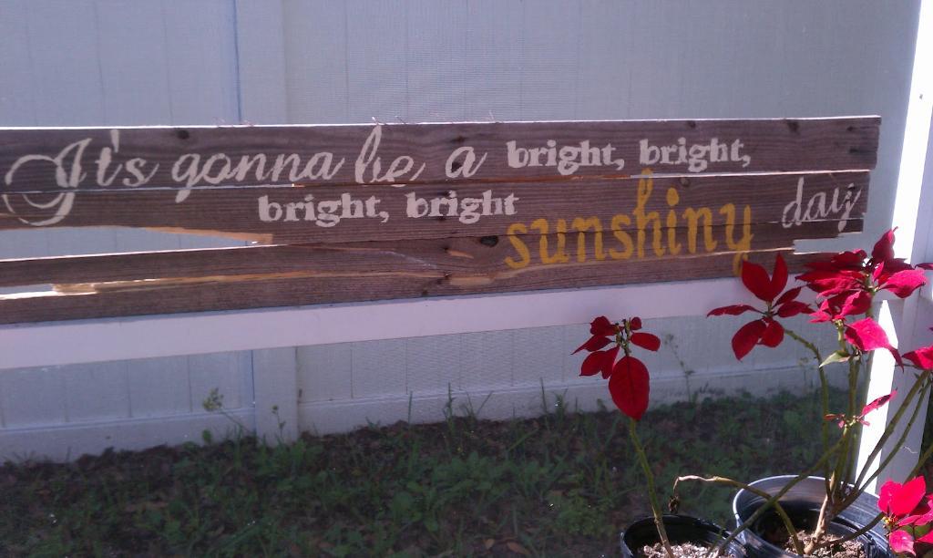 sunshiny4-1055868020.jpg.5b0d2af6795eb7d6e2b44e2a286d4eef.jpg
