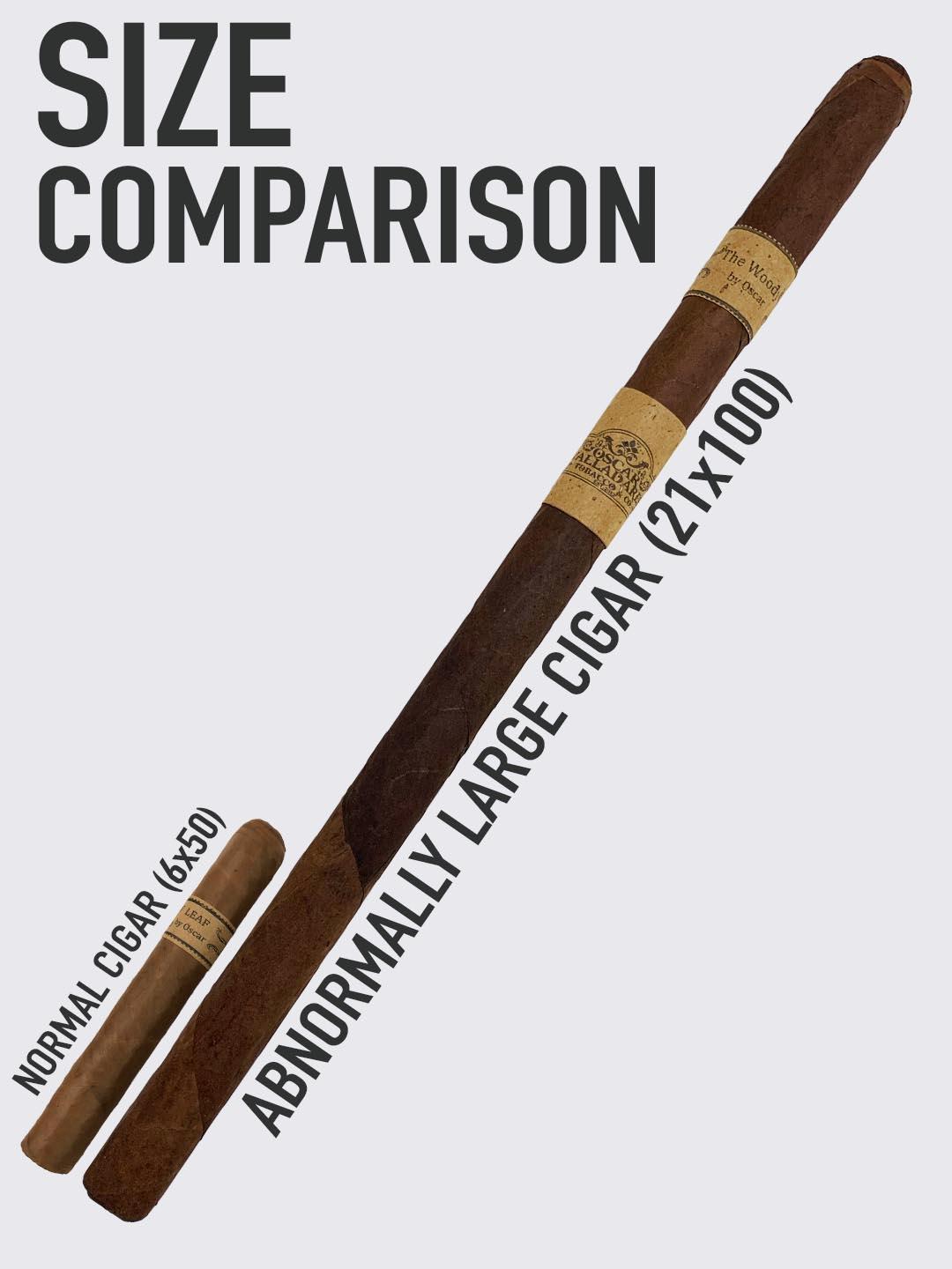Woody-size-comparison.jpg.0726b803d258167ac29e5f0dd9b791dd.jpg
