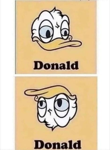 Donald.jpg