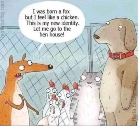 Fox.jpg