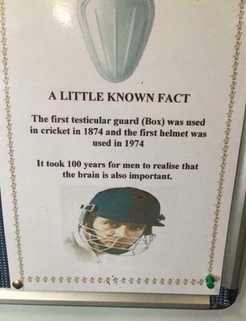 WF.jpg