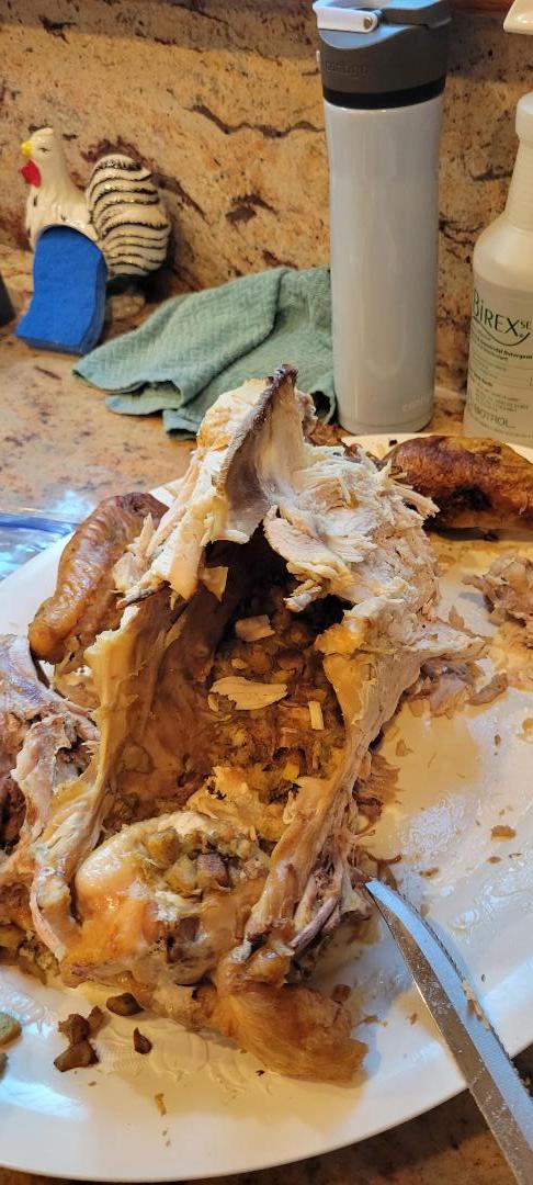 2023turkeyday.jpg.f008d66d0576c7639ab4c01eb6854409.jpg