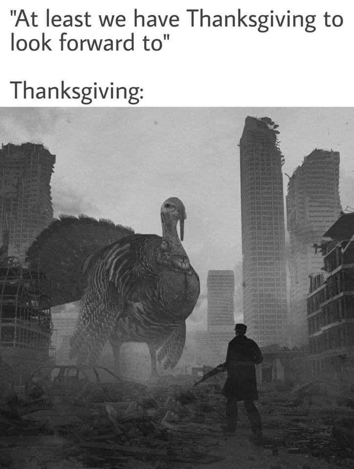 Bird.jpeg.0d3c13154a8e642fc18af6815ae0e3c0.jpeg
