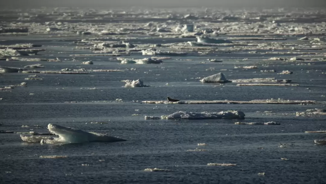 240109134610-norway-arctic-sea-file.webp.d985fd30f3ed3b62473777f62d8f0e15.webp