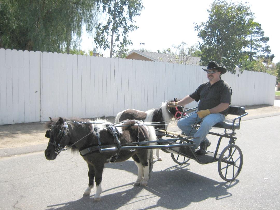 piggyandlaceycart.jpeg.2af56e34e1f4b70681f4341a1eacc0d9.jpeg