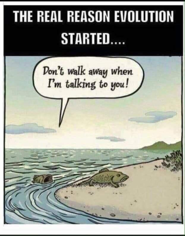 Friday Funny.jpg