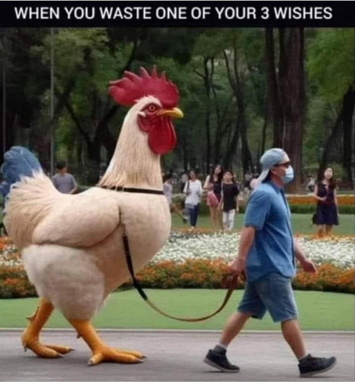 Sunday Chuckle.jpg