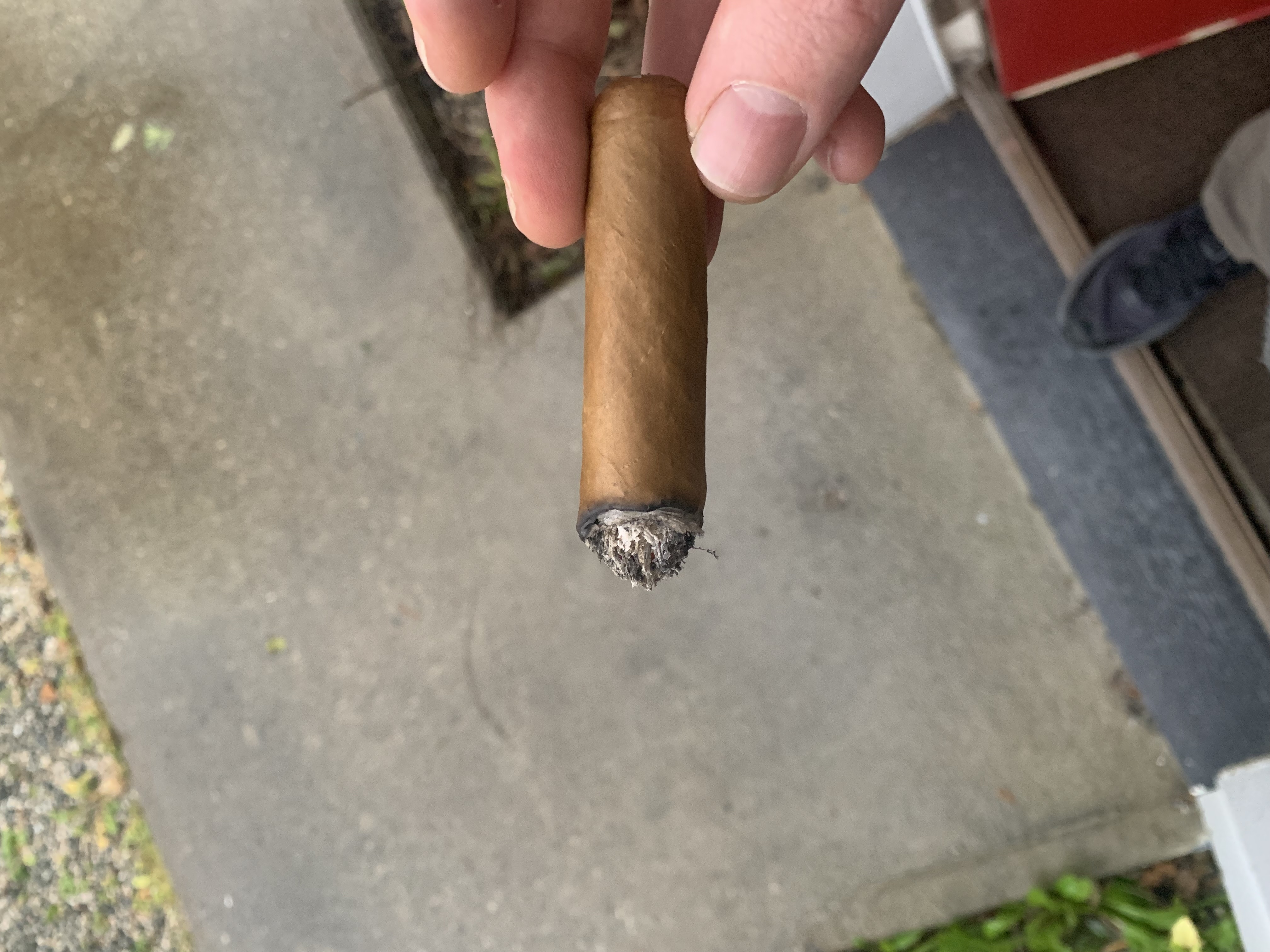 IMG_8324.jpeg.01e786c7c9f3bd90ca0e1ca2ebb903e5.jpeg