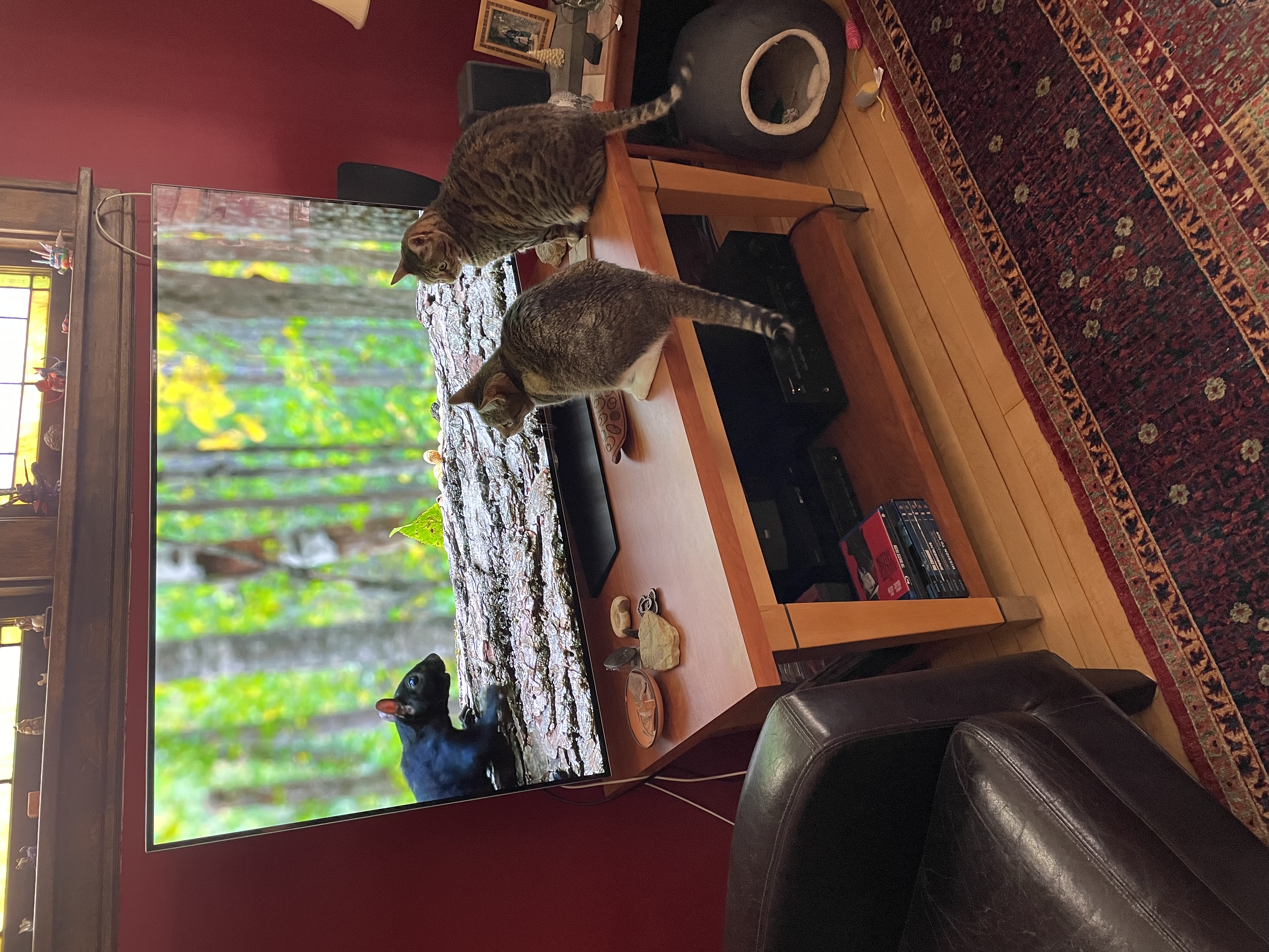 IMG_1034.jpeg.83263f0ffd29dc50f745a4446969bd70.jpeg