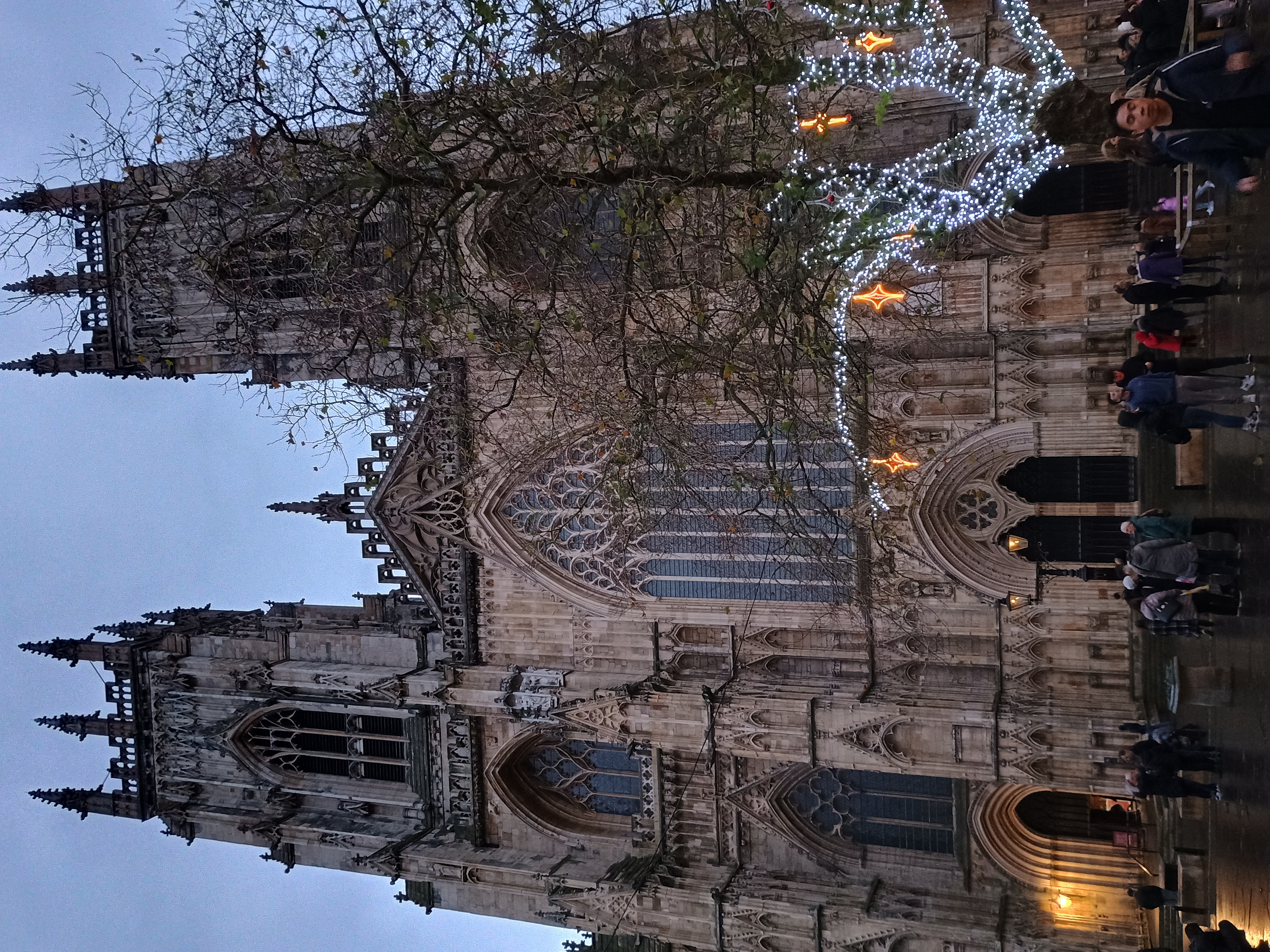 IMG_20241130_155825502_HDR.jpg.a0538cf515d022eeb2c28513b66b9cd3.jpg