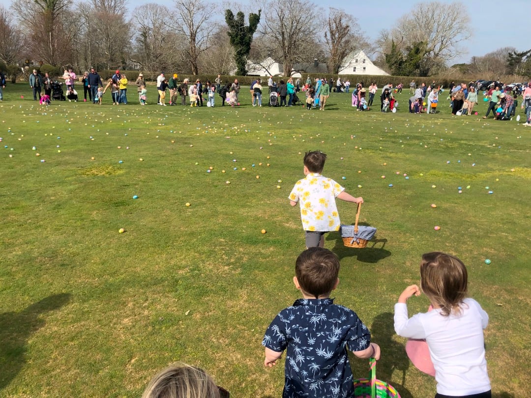 IMG_2045.jpeg.a225dff63e0206334d714c9a7fa4f5a3.jpeg