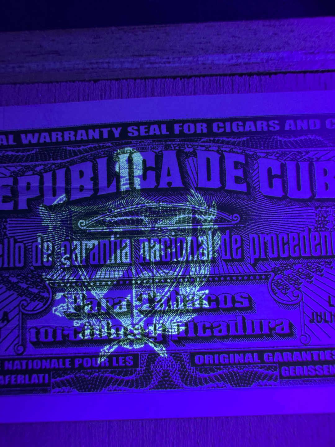 IMG_2917.png.9b1dfdd2faf3ea1499fe66d8baa75b02.png