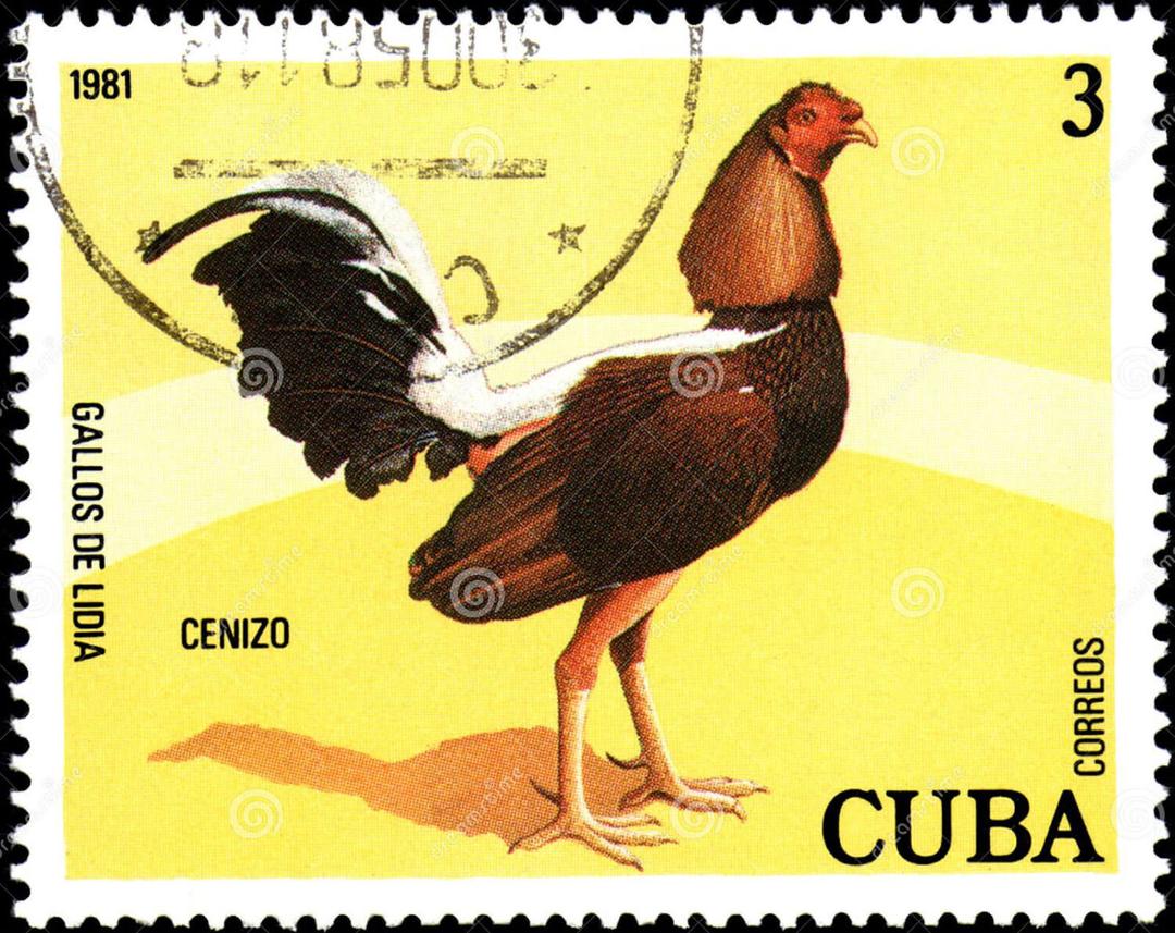 cuba-stamp-circa-1981-cenizo-series-cock-fighting.jpg