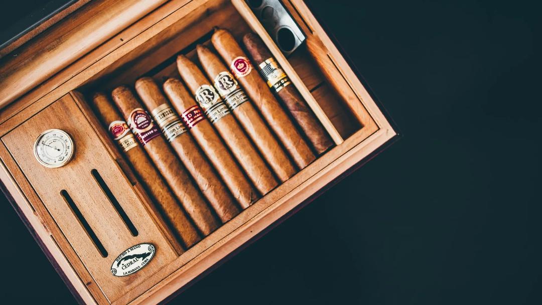pexels-photo-1637114-1920w.jpg.168cc0c33b3f387c4eba551cbd398f2e.jpg