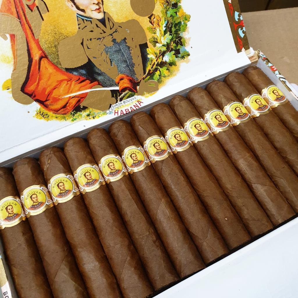 BolivarCoronaJunior.jpg