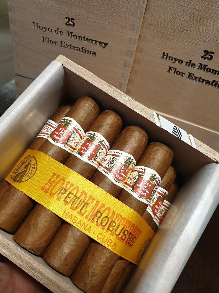 HDMpetitrobusto.jpg