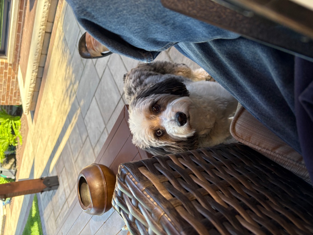 IMG_3042.jpeg.6dc8f6852c2f8ac1d0805a12886e4891.jpeg
